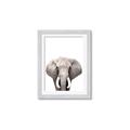 Picture of Safari Elephant _GroupedProduct_Rectangle_Portrait_Mini_ _GroupedProduct_Rectangle_Portrait_Framed_Matted_