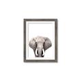 Picture of Safari Elephant _GroupedProduct_Rectangle_Portrait_Mini_ _GroupedProduct_Rectangle_Portrait_Framed_Matted_