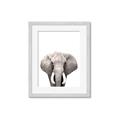 Picture of Safari Elephant _GroupedProduct_Rectangle_Portrait_Mini_ _GroupedProduct_Rectangle_Portrait_Framed_Matted_