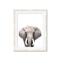 Picture of Safari Elephant _GroupedProduct_Rectangle_Portrait_Mini_ _GroupedProduct_Rectangle_Portrait_Framed_Matted_