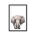 Picture of Safari Elephant _GroupedProduct_Rectangle_Portrait_Mini_ _GroupedProduct_Rectangle_Portrait_Framed_Matted_