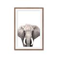 Picture of Safari Elephant _GroupedProduct_Rectangle_Portrait_Mini_ _GroupedProduct_Rectangle_Portrait_Framed_Matted_