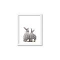Picture of Bunny Tail  _GroupedProduct_Rectangle_Portrait_Mini_ _GroupedProduct_Rectangle_Portrait_Framed_Matted_