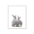 Picture of Bunny Tail  _GroupedProduct_Rectangle_Portrait_Mini_ _GroupedProduct_Rectangle_Portrait_Framed_Matted_