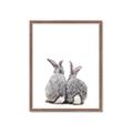Picture of Bunny Tail  _GroupedProduct_Rectangle_Portrait_Mini_ _GroupedProduct_Rectangle_Portrait_Framed_Matted_