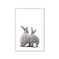 Picture of Bunny Tail  _GroupedProduct_Rectangle_Portrait_Mini_ _GroupedProduct_Rectangle_Portrait_Framed_Matted_