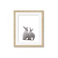 Picture of Bunny Tail  _GroupedProduct_Rectangle_Portrait_Mini_ _GroupedProduct_Rectangle_Portrait_Framed_Matted_