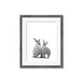 Picture of Bunny Tail  _GroupedProduct_Rectangle_Portrait_Mini_ _GroupedProduct_Rectangle_Portrait_Framed_Matted_