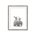 Picture of Bunny Tail  _GroupedProduct_Rectangle_Portrait_Mini_ _GroupedProduct_Rectangle_Portrait_Framed_Matted_