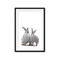 Picture of Bunny Tail  _GroupedProduct_Rectangle_Portrait_Mini_ _GroupedProduct_Rectangle_Portrait_Framed_Matted_