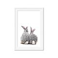 Picture of Bunny Tail  _GroupedProduct_Rectangle_Portrait_Mini_ _GroupedProduct_Rectangle_Portrait_Framed_Matted_