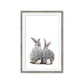 Picture of Bunny Tail  _GroupedProduct_Rectangle_Portrait_Mini_ _GroupedProduct_Rectangle_Portrait_Framed_Matted_