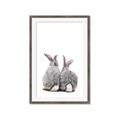 Picture of Bunny Tail  _GroupedProduct_Rectangle_Portrait_Mini_ _GroupedProduct_Rectangle_Portrait_Framed_Matted_