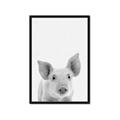 Picture of Farmhouse Pig _GroupedProduct_Rectangle_Portrait_Mini_ _GroupedProduct_Rectangle_Portrait_Framed_Matted_