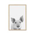 Picture of Farmhouse Pig _GroupedProduct_Rectangle_Portrait_Mini_ _GroupedProduct_Rectangle_Portrait_Framed_Matted_