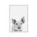 Picture of Farmhouse Pig _GroupedProduct_Rectangle_Portrait_Mini_ _GroupedProduct_Rectangle_Portrait_Framed_Matted_