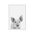 Picture of Farmhouse Pig _GroupedProduct_Rectangle_Portrait_Mini_ _GroupedProduct_Rectangle_Portrait_Framed_Matted_