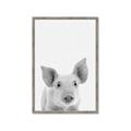Picture of Farmhouse Pig _GroupedProduct_Rectangle_Portrait_Mini_ _GroupedProduct_Rectangle_Portrait_Framed_Matted_
