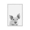 Picture of Farmhouse Pig _GroupedProduct_Rectangle_Portrait_Mini_ _GroupedProduct_Rectangle_Portrait_Framed_Matted_
