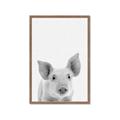 Picture of Farmhouse Pig _GroupedProduct_Rectangle_Portrait_Mini_ _GroupedProduct_Rectangle_Portrait_Framed_Matted_