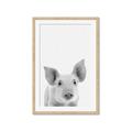 Picture of Farmhouse Pig _GroupedProduct_Rectangle_Portrait_Mini_ _GroupedProduct_Rectangle_Portrait_Framed_Matted_