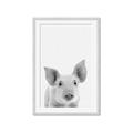 Picture of Farmhouse Pig _GroupedProduct_Rectangle_Portrait_Mini_ _GroupedProduct_Rectangle_Portrait_Framed_Matted_