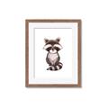 Picture of Small Raccoon _GroupedProduct_Rectangle_Portrait_Mini_ _GroupedProduct_Rectangle_Portrait_Framed_Matted_