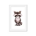 Picture of Small Raccoon _GroupedProduct_Rectangle_Portrait_Mini_ _GroupedProduct_Rectangle_Portrait_Framed_Matted_