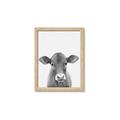 Picture of Cute Little Calf _GroupedProduct_Rectangle_Portrait_Mini_ _GroupedProduct_Rectangle_Portrait_Framed_Matted_