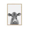Picture of Cute Little Calf _GroupedProduct_Rectangle_Portrait_Mini_ _GroupedProduct_Rectangle_Portrait_Framed_Matted_