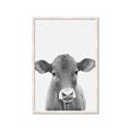 Picture of Cute Little Calf _GroupedProduct_Rectangle_Portrait_Mini_ _GroupedProduct_Rectangle_Portrait_Framed_Matted_