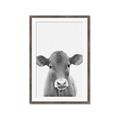 Picture of Cute Little Calf _GroupedProduct_Rectangle_Portrait_Mini_ _GroupedProduct_Rectangle_Portrait_Framed_Matted_
