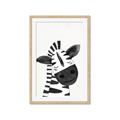 Picture of Smiling Zebra _GroupedProduct_Rectangle_Portrait_Mini_ _GroupedProduct_Rectangle_Portrait_Framed_Matted_