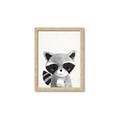 Picture of Curious Raccoon  _GroupedProduct_Rectangle_Portrait_Mini_ _GroupedProduct_Rectangle_Portrait_Framed_Matted_