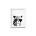Picture of Curious Raccoon  _GroupedProduct_Rectangle_Portrait_Mini_ _GroupedProduct_Rectangle_Portrait_Framed_Matted_