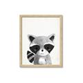 Picture of Curious Raccoon  _GroupedProduct_Rectangle_Portrait_Mini_ _GroupedProduct_Rectangle_Portrait_Framed_Matted_
