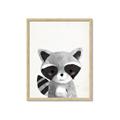 Picture of Curious Raccoon  _GroupedProduct_Rectangle_Portrait_Mini_ _GroupedProduct_Rectangle_Portrait_Framed_Matted_