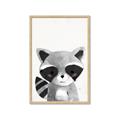 Picture of Curious Raccoon  _GroupedProduct_Rectangle_Portrait_Mini_ _GroupedProduct_Rectangle_Portrait_Framed_Matted_