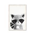 Picture of Curious Raccoon  _GroupedProduct_Rectangle_Portrait_Mini_ _GroupedProduct_Rectangle_Portrait_Framed_Matted_