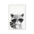 Picture of Curious Raccoon  _GroupedProduct_Rectangle_Portrait_Mini_ _GroupedProduct_Rectangle_Portrait_Framed_Matted_