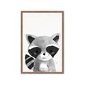 Picture of Curious Raccoon  _GroupedProduct_Rectangle_Portrait_Mini_ _GroupedProduct_Rectangle_Portrait_Framed_Matted_