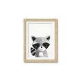 Picture of Curious Raccoon  _GroupedProduct_Rectangle_Portrait_Mini_ _GroupedProduct_Rectangle_Portrait_Framed_Matted_