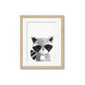 Picture of Curious Raccoon  _GroupedProduct_Rectangle_Portrait_Mini_ _GroupedProduct_Rectangle_Portrait_Framed_Matted_