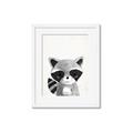 Picture of Curious Raccoon  _GroupedProduct_Rectangle_Portrait_Mini_ _GroupedProduct_Rectangle_Portrait_Framed_Matted_