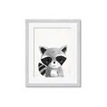 Picture of Curious Raccoon  _GroupedProduct_Rectangle_Portrait_Mini_ _GroupedProduct_Rectangle_Portrait_Framed_Matted_