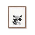 Picture of Curious Raccoon  _GroupedProduct_Rectangle_Portrait_Mini_ _GroupedProduct_Rectangle_Portrait_Framed_Matted_