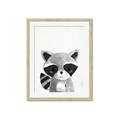Picture of Curious Raccoon  _GroupedProduct_Rectangle_Portrait_Mini_ _GroupedProduct_Rectangle_Portrait_Framed_Matted_