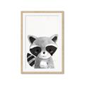 Picture of Curious Raccoon  _GroupedProduct_Rectangle_Portrait_Mini_ _GroupedProduct_Rectangle_Portrait_Framed_Matted_