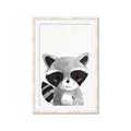 Picture of Curious Raccoon  _GroupedProduct_Rectangle_Portrait_Mini_ _GroupedProduct_Rectangle_Portrait_Framed_Matted_