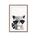 Picture of Curious Raccoon  _GroupedProduct_Rectangle_Portrait_Mini_ _GroupedProduct_Rectangle_Portrait_Framed_Matted_